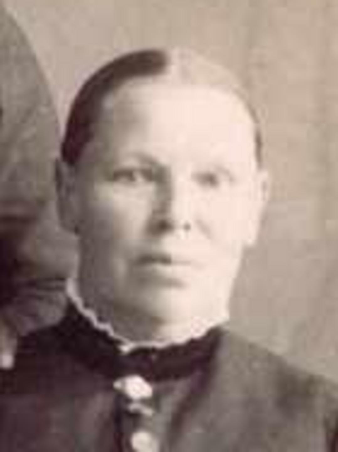 Sarah Barker (1829 - 1908) Profile
